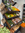 SUPERKEEN on Organic: Why It’s Worth the Hype