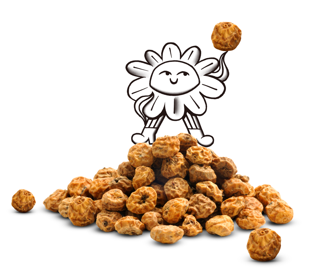 Tiger Nuts